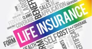 Life Insurance Quotes